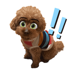 ぶんぺいと市松。