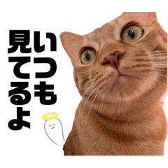 山口動物園の一部