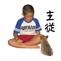 ふじおか家のわんこ