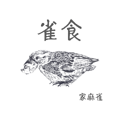 Jerry_20221012140116