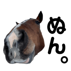 キャメロットスタンプ