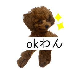 モコのメッセージ2