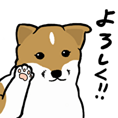 花林舎の動物たち