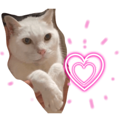 大好きちろちゃん