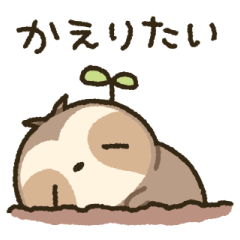 ただのなまけもの12 ～ネガティブ～