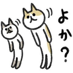 シュッとしたネコ　博多弁