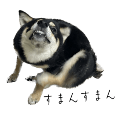 はななももここ