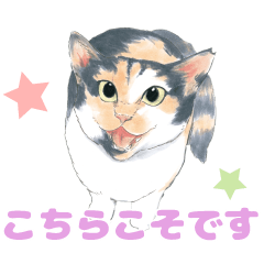 『ミケちゃんとやすらぎさん』ミケちゃん