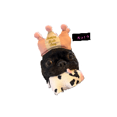 ふ-ちゃんの気持ち