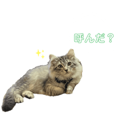 ジャンくんスタンプ 2