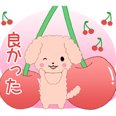 飛び出す！ちびプードル6【春①】