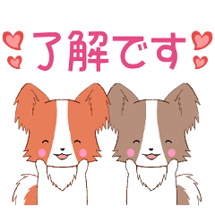 ちびパピヨン8【挨拶】