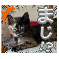 花ちゃんパート３