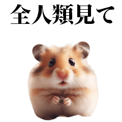 オタク構文を使うハムスター