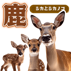 【重ねて】鹿しかシカしか【使う】