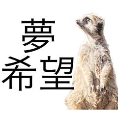 麺硬め、悲しみ少なめ、愛多め