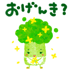 いつものブロッコリー奥さま