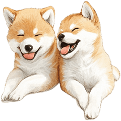 笑顔のわんちゃん（柴犬）