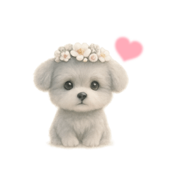 シルバートイプーのあんちゃん