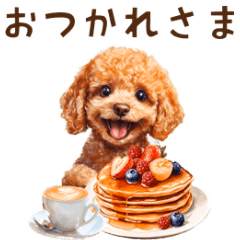 トイプードルゆるっと毎日アニメーション