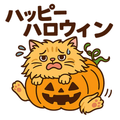ふわふわハロウィンにゃんこ