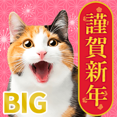 かわいい猫写真♪年賀BIGスタンプ【再販】