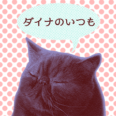 ダイナのいつも