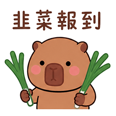 Cai-Meng-Cat-capybara6