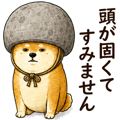 脱力.無気力.ネガティブ｜柴犬のゆるい日常