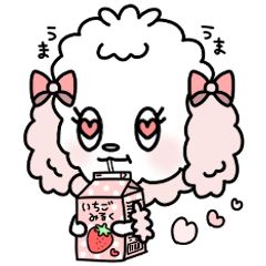 ももいろトイプードル