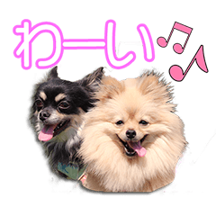 木場家の兎々丸くん＆紅葉ちゃん