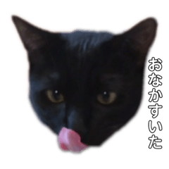 うちのねこちゃんず(シンプルver.)