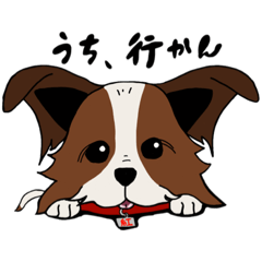 日常で使うわんちゃんスタンプ