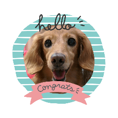 かるちゃんฅ▽・ᴥ・▽ฅスタンプ