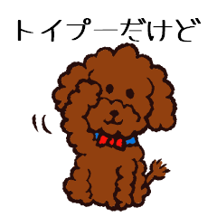トイプードルだけど