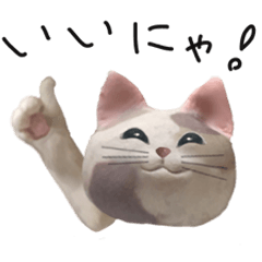 クレイねこ Mike