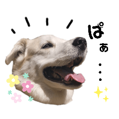 我が家のくぅたん2