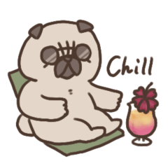 パグからもよろしくお願いします