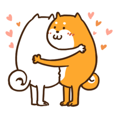 Valentines Day of Shiba