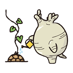 多肉植物、愚羅鬼李寿ちゃん