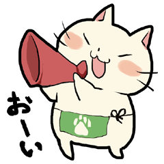 普通だけどすこしぽっちゃりにゃんこ