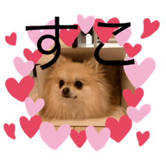 はなまるの日常