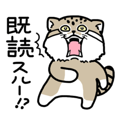 もふもふマヌルさん