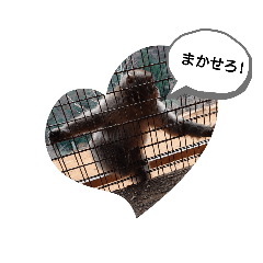 モンキートーク