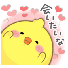 まるひよ2【好きを届ける】