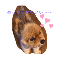 ポコポコポッピンシャン