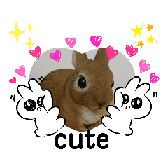 いろいろみかんくん