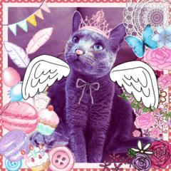 ロシアンブルーのにゃんこスタンプ