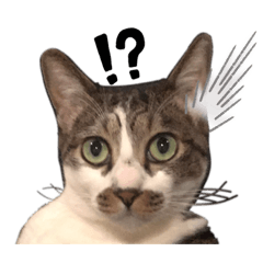 おしゅり様スタンプ