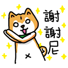 only the white of the firewood